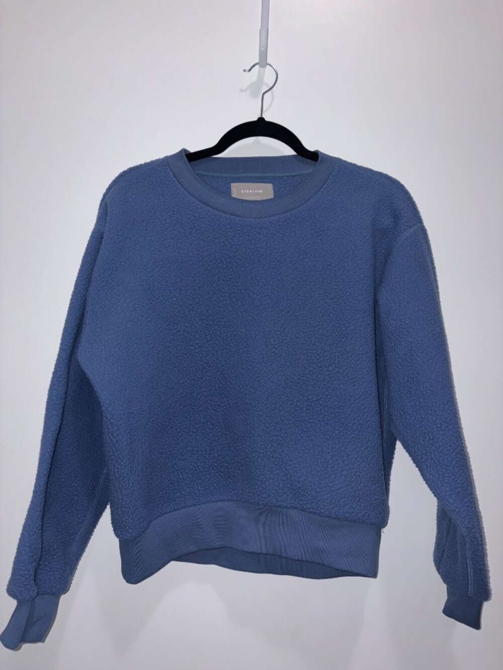 Everlane ReNew Teddy Oversized Fleece Crewneck